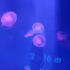 Machelle Surface - @machellesurface - TikTok