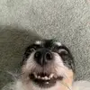 ᴍᴀᴄɪ - @macibelll - TikTok