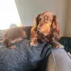 .macibell3 - @.macibell3 - TikTok