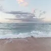 macibradley27 - @macibradley27 - TikTok