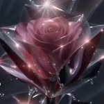 masiha. kh - @maciha.kh - Instagram