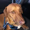 Macie - @macie.mclean - TikTok