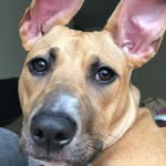 Macie - @maciemondaytn - Instagram