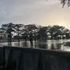 macie taylor - @.macietaylor - TikTok