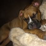 Macie Taylor Mcelwee - @macietaylormcelwee - Instagram