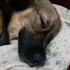 Roselí Maciel Couto - @roselimacielcouto - TikTok