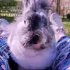 Mackenzie - @mack.adams - TikTok