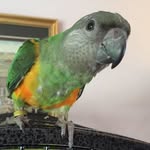 Pam Mack Atkinson - @psmacoop - Instagram