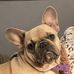 Mack Bilbrey - Facebook