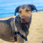 Mack Blair - @mackofthepack - Instagram