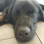 Mack:Blue _cute - @mackblue_cute - Instagram