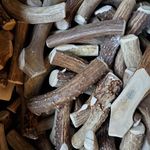 Mack Bones - @mack.bones.pnw - Instagram