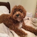 @mackboyking - Instagram