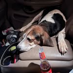 Mack Burton - @mbcottonton - Instagram