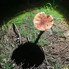 cainmack3 - @cain.mack - TikTok