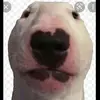 mackconner - @mackconner - TikTok