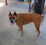 Mack Cooper - Facebook