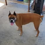Mack Cooper - @mack.cooper - Instagram