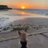 Mack - @mack.davis - TikTok