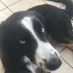 Mack Dean - @mack_dean1 - Instagram