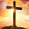 Jesus Christ is king - @mackevans630 - TikTok