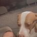 Mac Farley - Facebook