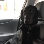 Mack Garcia - @mackmoonpie - Instagram