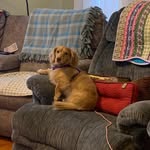 Mack Garland - @mackgarland81 - Instagram