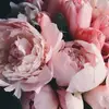 Mackenzie Nicole Garland  - @mackenziegarland - TikTok