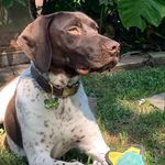 MACK Graves - @mackdaddy_the_gsp - Instagram