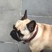 Mack Hamilton - Facebook