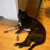 Mack Hamilton - Facebook