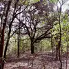 Mack Hart - @makinzie_hart_0526 - TikTok