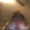 macks.hend2020 - @mackshenderson.17 - TikTok