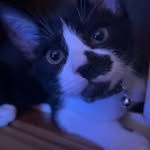 Mack Hicks - @thelightwriter53 - Instagram