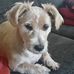 Mac Higgins - Facebook
