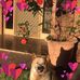 Mack Higgins - Facebook