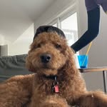 Mack Howard - @macks.artanddonutshop - Instagram