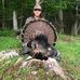 Mack Lambert - Facebook