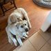 Mackenzie Ina Lambert - Facebook