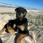 @mack_malone_ - Instagram