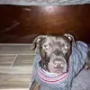 mackmalone930 - @mackmalone930 - TikTok