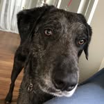 Mack McGee - @mcgee_mack - Instagram