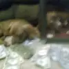Mack Nelson - @mack.nelson2 - TikTok
