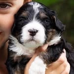 Mack Brown Pitts - @the.berne.mack - Instagram