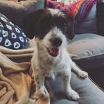 Mack Pitts-Cartlidge - @mackthejack_ - Instagram