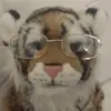 Mackenzie / Mack :p - @mack.self - TikTok