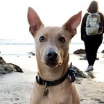 Mack - @mack_stephenson - Instagram