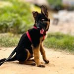 @mack__tyson01 - Instagram