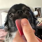 Miss Mackwade - @joan.mackwade - Instagram